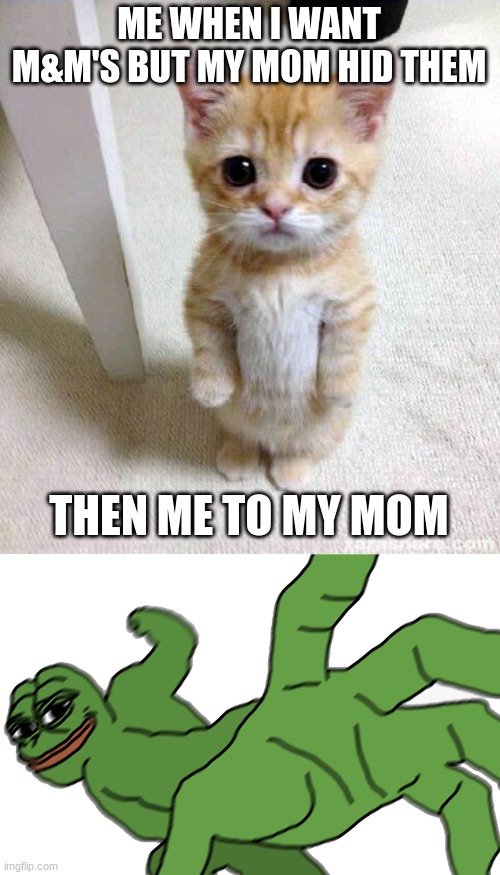 ME WHEN I WANT M&M'S |  ME WHEN I WANT M&M'S BUT MY MOM HID THEM; THEN ME TO MY MOM | image tagged in memes,cute cat,punch | made w/ Imgflip meme maker
