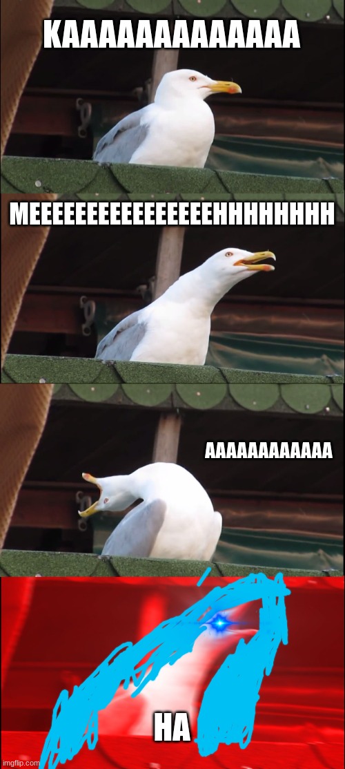 Inhaling Seagull Meme | KAAAAAAAAAAAAA; MEEEEEEEEEEEEEEEEHHHHHHHH; AAAAAAAAAAAA; HA | image tagged in memes,inhaling seagull | made w/ Imgflip meme maker