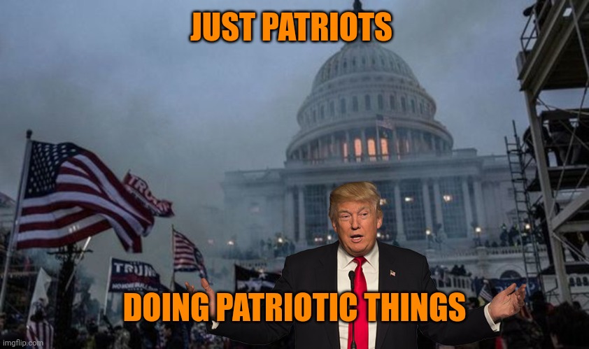 Patriots can be tourists right? | JUST PATRIOTS; DOING PATRIOTIC THINGS | image tagged in misconstrued coup | made w/ Imgflip meme maker
