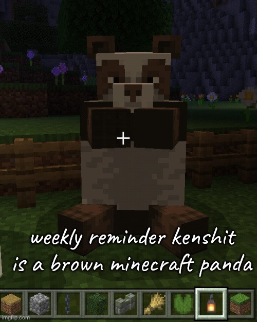 Ken you need to feel very honored | weekly reminder kenshit is a brown minecraft panda | made w/ Imgflip meme maker