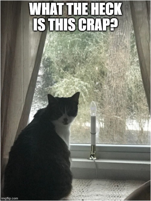 No More Snow! | WHAT THE HECK IS THIS CRAP? arj | image tagged in sox,snow,march,nomoresnow,winter,cold | made w/ Imgflip meme maker