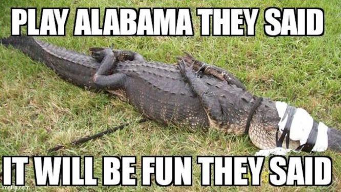 fun | image tagged in gator,alabama,meme | made w/ Imgflip meme maker