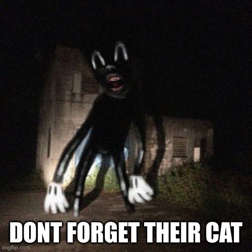 Wavy Cartoon Cat | DONT FORGET THEIR CAT | image tagged in wavy cartoon cat | made w/ Imgflip meme maker