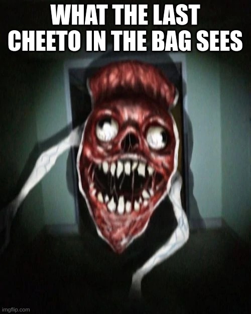 Angry bridge worm | WHAT THE LAST CHEETO IN THE BAG SEES | image tagged in angry bridge worm | made w/ Imgflip meme maker