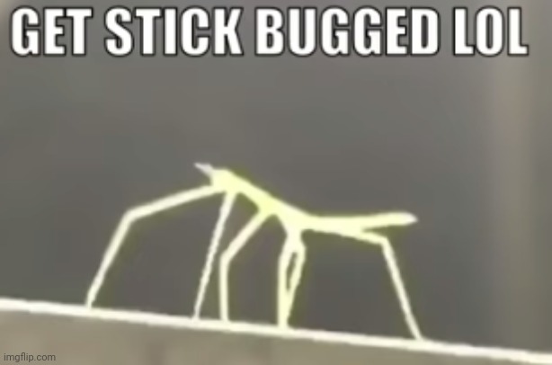 Stickbug meme | image tagged in stickbug meme | made w/ Imgflip meme maker