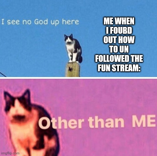 Hail pole cat | ME WHEN I FOUBD OUT HOW TO UN FOLLOWED THE FUN STREAM: | image tagged in hail pole cat | made w/ Imgflip meme maker