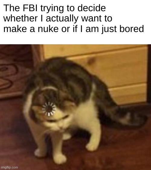 Loading cat | The FBI trying to decide whether I actually want to make a nuke or if I am just bored | image tagged in loading cat,funny,cats | made w/ Imgflip meme maker