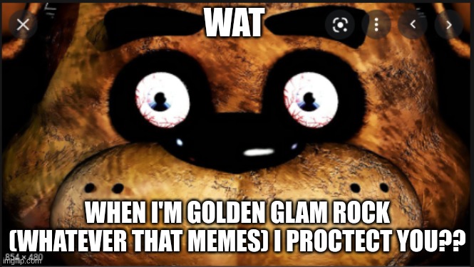 WAT; WHEN I'M GOLDEN GLAM ROCK (WHATEVER THAT MEMES) I PROTECT YOU?? | image tagged in fnaf,video games,wat | made w/ Imgflip meme maker