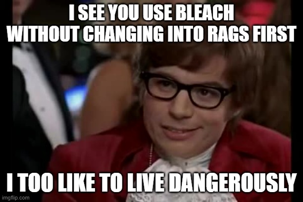 bleach without rags | I SEE YOU USE BLEACH WITHOUT CHANGING INTO RAGS FIRST; I TOO LIKE TO LIVE DANGEROUSLY | image tagged in memes,i too like to live dangerously | made w/ Imgflip meme maker