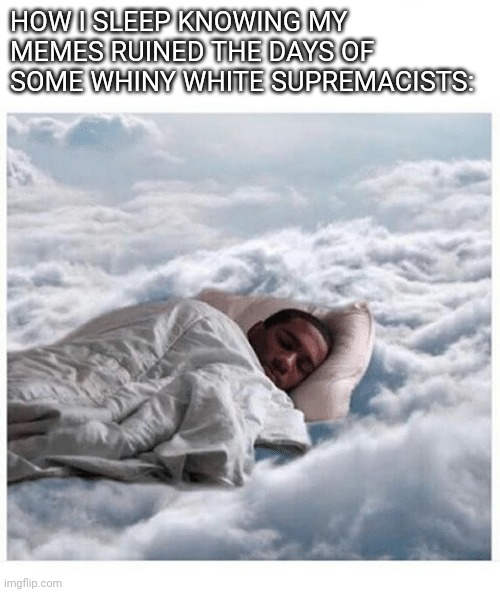 Their cries are my bedtime lullaby | HOW I SLEEP KNOWING MY MEMES RUINED THE DAYS OF SOME WHINY WHITE SUPREMACISTS: | image tagged in how i sleep knowing | made w/ Imgflip meme maker