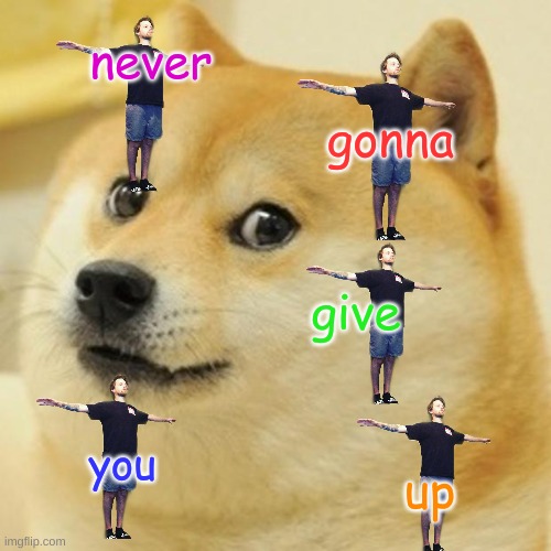 drik drood |  never; gonna; give; you; up | image tagged in memes,doge,yub,rick rolled | made w/ Imgflip meme maker