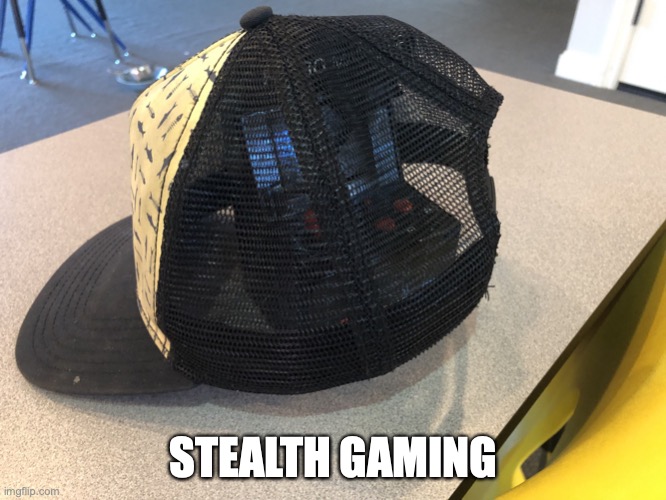 stealth gaming | STEALTH GAMING | image tagged in stealth gaming,stealth | made w/ Imgflip meme maker