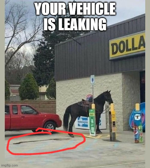 beer 4 my horses | YOUR VEHICLE IS LEAKING | image tagged in horse,leaks | made w/ Imgflip meme maker