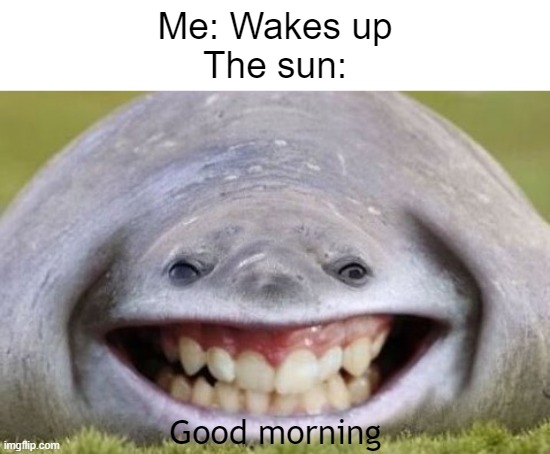 The sun: | Me: Wakes up
The sun:; Good morning | image tagged in good morning sunshine meme | made w/ Imgflip meme maker