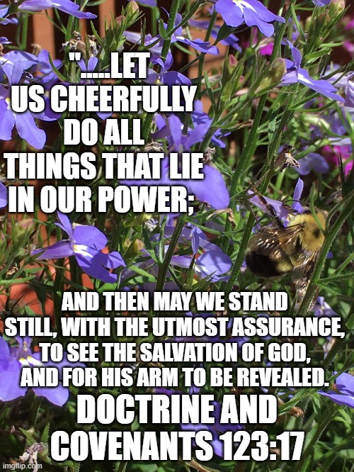 #trials #depression | ".....LET US CHEERFULLY DO ALL THINGS THAT LIE IN OUR POWER;; AND THEN MAY WE STAND STILL, WITH THE UTMOST ASSURANCE, TO SEE THE SALVATION OF GOD, AND FOR HIS ARM TO BE REVEALED. DOCTRINE AND COVENANTS 123:17 | image tagged in flowers | made w/ Imgflip meme maker