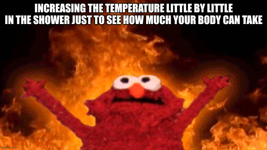 helpppp please to hot | INCREASING THE TEMPERATURE LITTLE BY LITTLE IN THE SHOWER JUST TO SEE HOW MUCH YOUR BODY CAN TAKE | image tagged in elmo fire | made w/ Imgflip meme maker