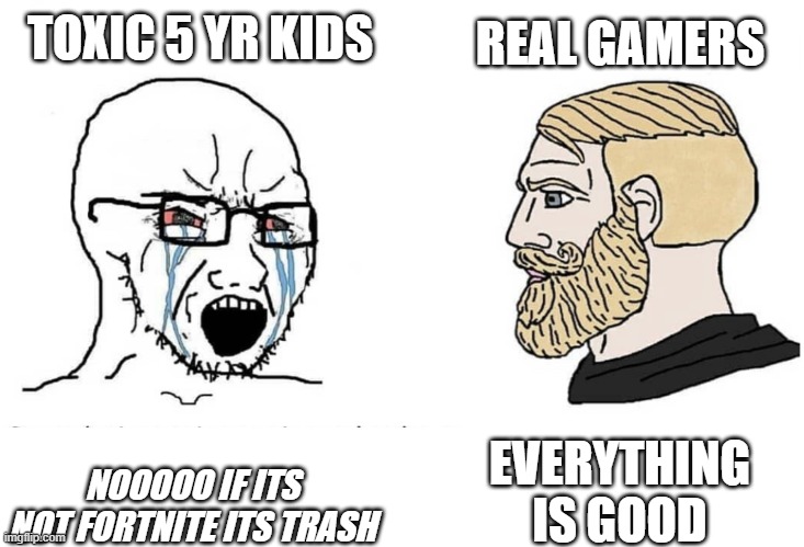 facts | TOXIC 5 YR KIDS; REAL GAMERS; EVERYTHING IS GOOD; NOOOOO IF ITS NOT FORTNITE ITS TRASH | image tagged in soyboy vs yes chad | made w/ Imgflip meme maker
