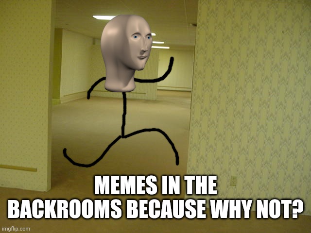The Backrooms | MEMES IN THE BACKROOMS BECAUSE WHY NOT? | image tagged in the backrooms | made w/ Imgflip meme maker