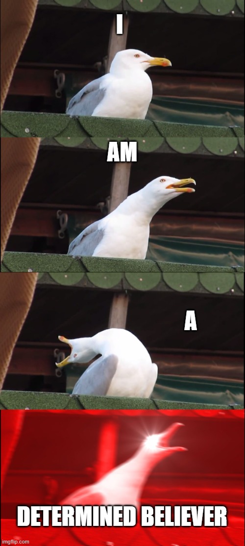 Inhaling Seagull | I; AM; A; DETERMINED BELIEVER | image tagged in memes,inhaling seagull | made w/ Imgflip meme maker