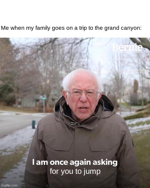 I don't need you anymore, brother! | Me when my family goes on a trip to the grand canyon:; for you to jump | image tagged in memes,bernie i am once again asking for your support | made w/ Imgflip meme maker