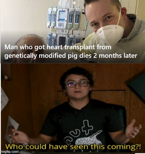 Pigs are LITERALLY one of the most unsanitary animals | image tagged in who could have seen this coming,pig | made w/ Imgflip meme maker