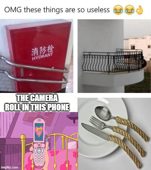 only Phineas and Ferb fans will understand | THE CAMERA ROLL IN THIS PHONE | image tagged in useless things | made w/ Imgflip meme maker