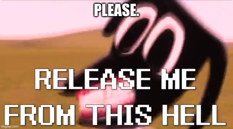 Release Me From This Hell | PLEASE. | image tagged in release me from this hell | made w/ Imgflip meme maker