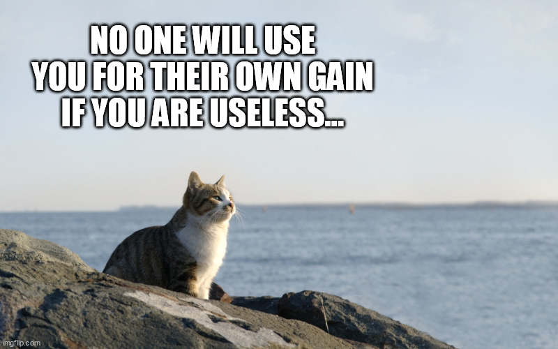 so derp..... i mean deep... | NO ONE WILL USE YOU FOR THEIR OWN GAIN IF YOU ARE USELESS... | image tagged in deep thinking cat | made w/ Imgflip meme maker