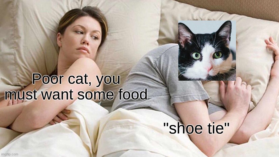 I Bet He's Thinking About Other Women | Poor cat, you must want some food; "shoe tie" | image tagged in memes,i bet he's thinking about other women | made w/ Imgflip meme maker
