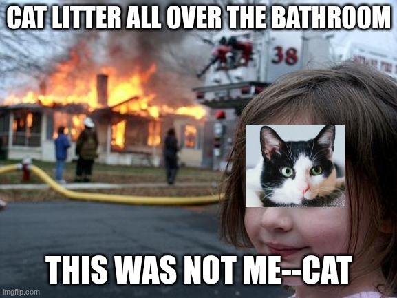 Disaster Girl | CAT LITTER ALL OVER THE BATHROOM; THIS WAS NOT ME--CAT | image tagged in memes,disaster girl | made w/ Imgflip meme maker