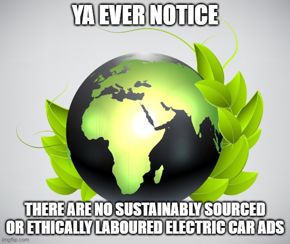 Globe eco | YA EVER NOTICE THERE ARE NO SUSTAINABLY SOURCED OR ETHICALLY LABOURED ELECTRIC CAR ADS | image tagged in globe eco | made w/ Imgflip meme maker