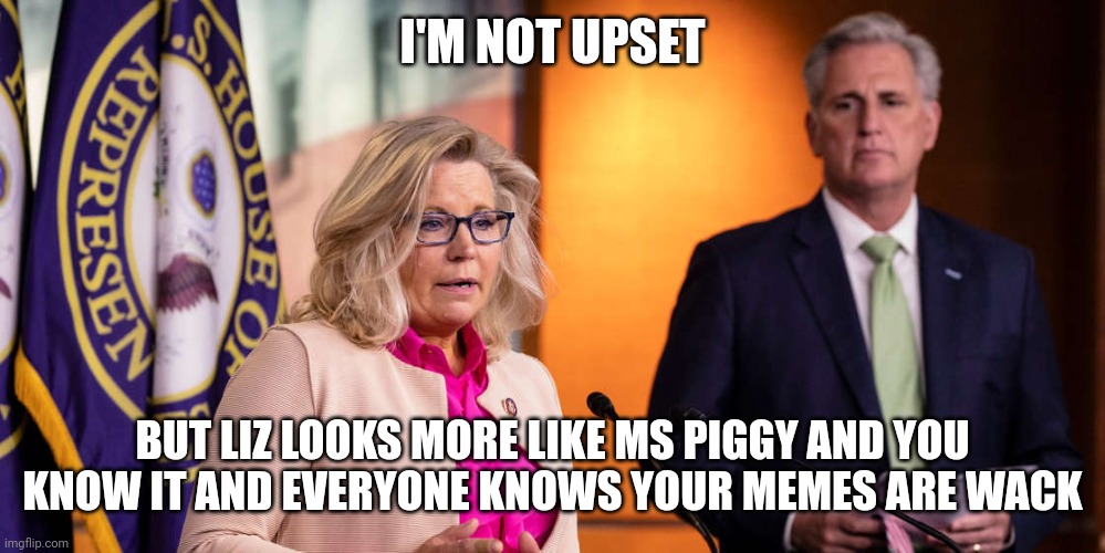 Liz Cheney Kevin McCarthy | I'M NOT UPSET BUT LIZ LOOKS MORE LIKE MS PIGGY AND YOU KNOW IT AND EVERYONE KNOWS YOUR MEMES ARE WACK | image tagged in liz cheney kevin mccarthy | made w/ Imgflip meme maker