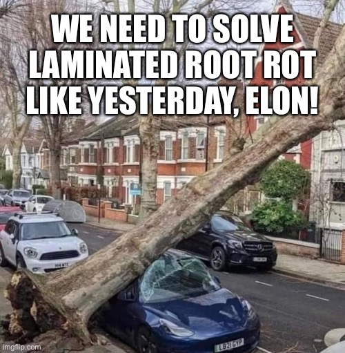 WE NEED TO SOLVE LAMINATED ROOT ROT LIKE YESTERDAY, ELON! | image tagged in tesla | made w/ Imgflip meme maker