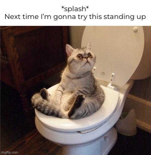 *splash*
Next time I’m gonna try this standing up | made w/ Imgflip meme maker