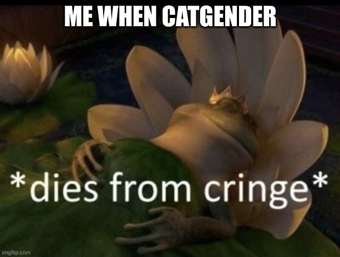 Everything else is fine | ME WHEN CATGENDER | image tagged in dies from cringe | made w/ Imgflip meme maker