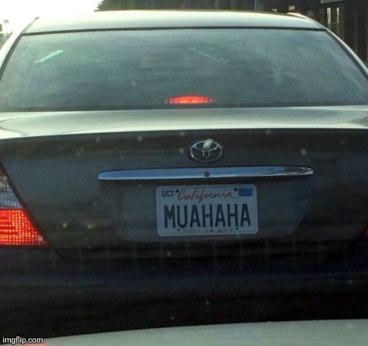 License Plate | image tagged in license plate | made w/ Imgflip meme maker