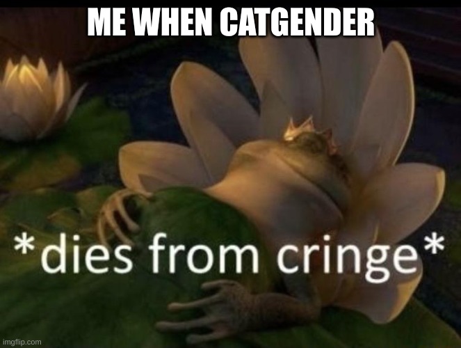 Dies from cringe | ME WHEN CATGENDER | image tagged in dies from cringe | made w/ Imgflip meme maker