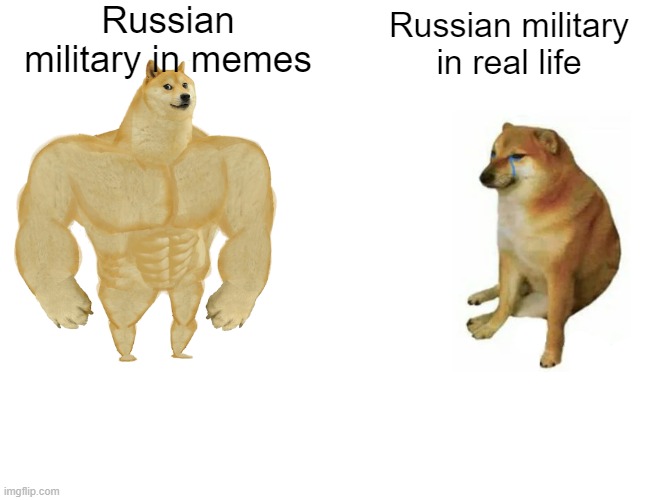 After Russia's fail in Ukraine 2022 | Russian military in memes; Russian military in real life | image tagged in memes,buff doge vs cheems,russia,military,russian doge | made w/ Imgflip meme maker