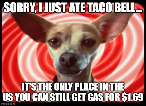 Gas in US - Taco Bell | SORRY, I JUST ATE TACO BELL... IT'S THE ONLY PLACE IN THE US YOU CAN STILL GET GAS FOR $1.69 | image tagged in taco bell dog | made w/ Imgflip meme maker