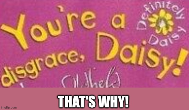 You're a Disgrace! | THAT'S WHY! | image tagged in you're a disgrace | made w/ Imgflip meme maker