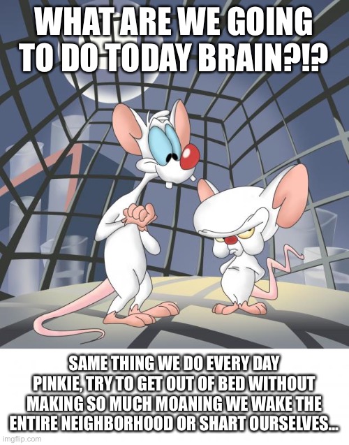 Old Pinky and Brain | WHAT ARE WE GOING TO DO TODAY BRAIN?!? SAME THING WE DO EVERY DAY PINKIE, TRY TO GET OUT OF BED WITHOUT MAKING SO MUCH MOANING WE WAKE THE ENTIRE NEIGHBORHOOD OR SHART OURSELVES… | image tagged in pinky and the brain | made w/ Imgflip meme maker