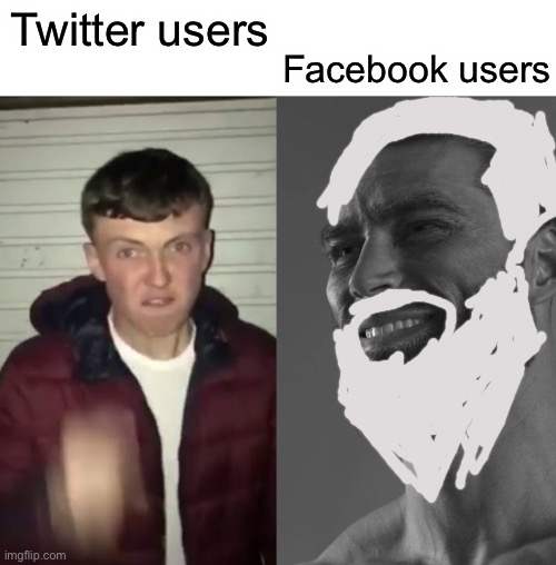 Very true though |  Facebook users; Twitter users | image tagged in average fan vs average enjoyer,twitter,facebook,users | made w/ Imgflip meme maker