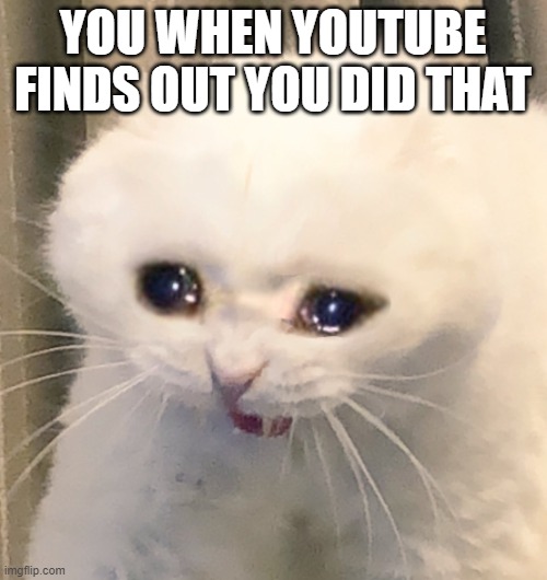 screaming crying cat | YOU WHEN YOUTUBE FINDS OUT YOU DID THAT | image tagged in screaming crying cat | made w/ Imgflip meme maker