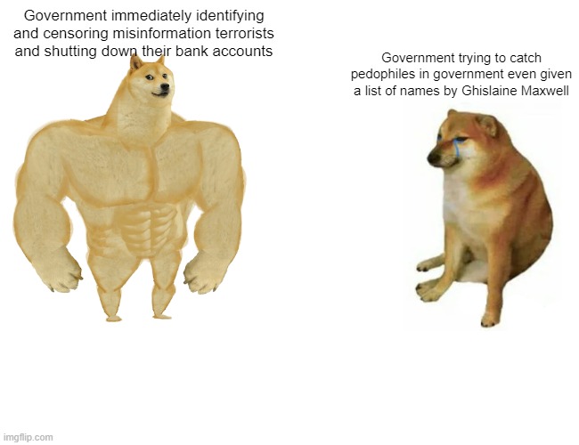 *shrugs* They're just too crafty for us | Government immediately identifying and censoring misinformation terrorists and shutting down their bank accounts; Government trying to catch pedophiles in government even given a list of names by Ghislaine Maxwell | image tagged in memes,buff doge vs cheems | made w/ Imgflip meme maker
