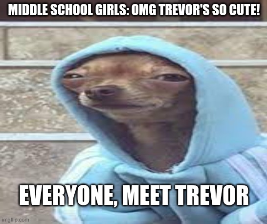 doggy hoodie | MIDDLE SCHOOL GIRLS: OMG TREVOR'S SO CUTE! EVERYONE, MEET TREVOR | image tagged in dog | made w/ Imgflip meme maker