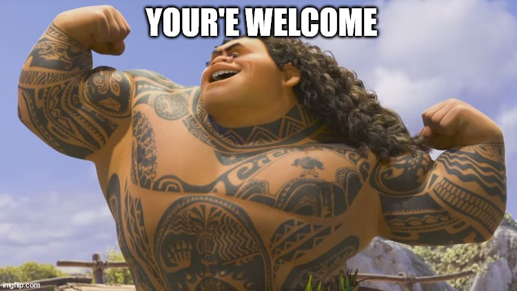 Moana Your'e Welcome | YOUR'E WELCOME | image tagged in moana your'e welcome | made w/ Imgflip meme maker