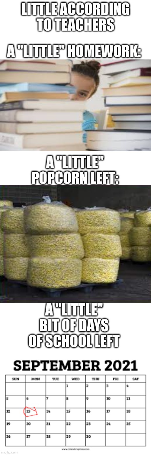 At least its like this at my school | LITTLE ACCORDING TO TEACHERS; A "LITTLE" HOMEWORK:; A "LITTLE" POPCORN LEFT:; A "LITTLE" BIT OF DAYS OF SCHOOL LEFT | image tagged in memes,blank transparent square | made w/ Imgflip meme maker