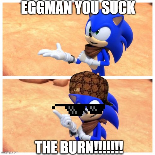 sonic bomb | EGGMAN YOU SUCK; THE BURN!!!!!!! | image tagged in sonic boom,sonic the hedgehog | made w/ Imgflip meme maker