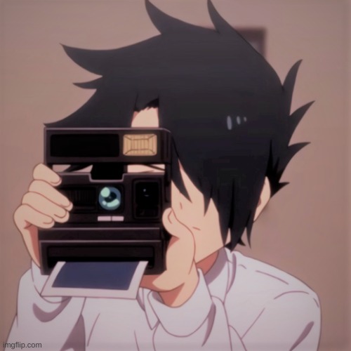 tpn | image tagged in caught in 4k | made w/ Imgflip meme maker