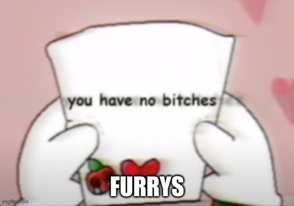 You have no bitches | FURRYS | image tagged in you have no bitches | made w/ Imgflip meme maker